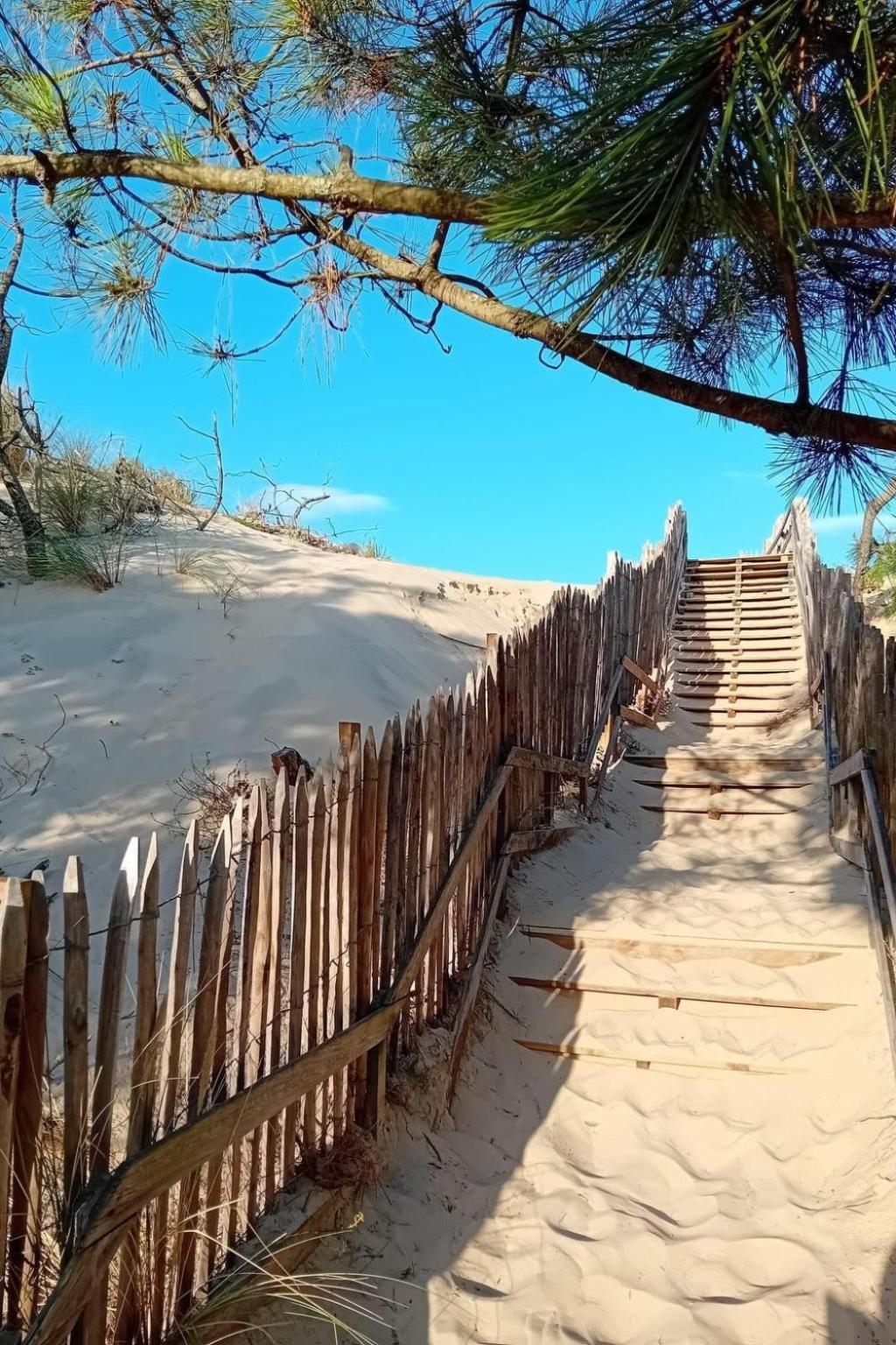 Holiday Home Les Bruyeres By Interhome Mimizan-Plage Buitenkant foto